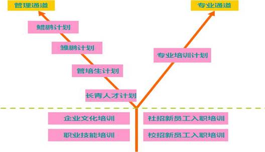 培养体系